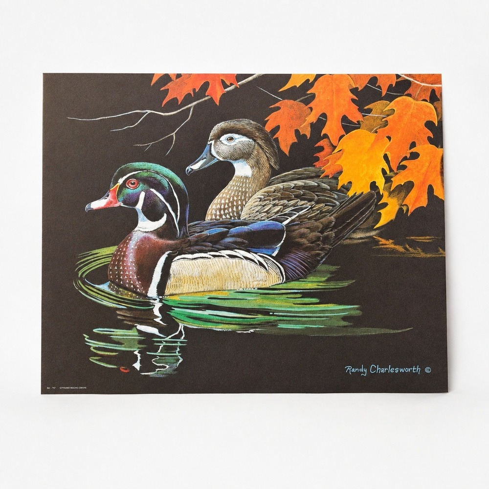 Randy Charlesworth Art Poster 20x16 Multi Autumn Wood Ducks No. 139 Wildlife